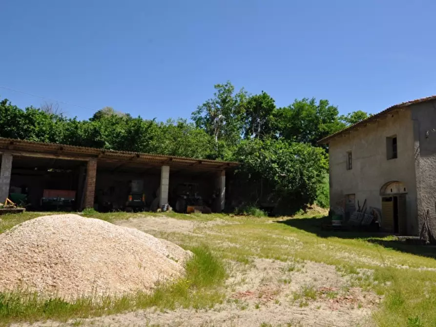 Immagine 2 di Rustico / casale in vendita  a Terranuova Bracciolini