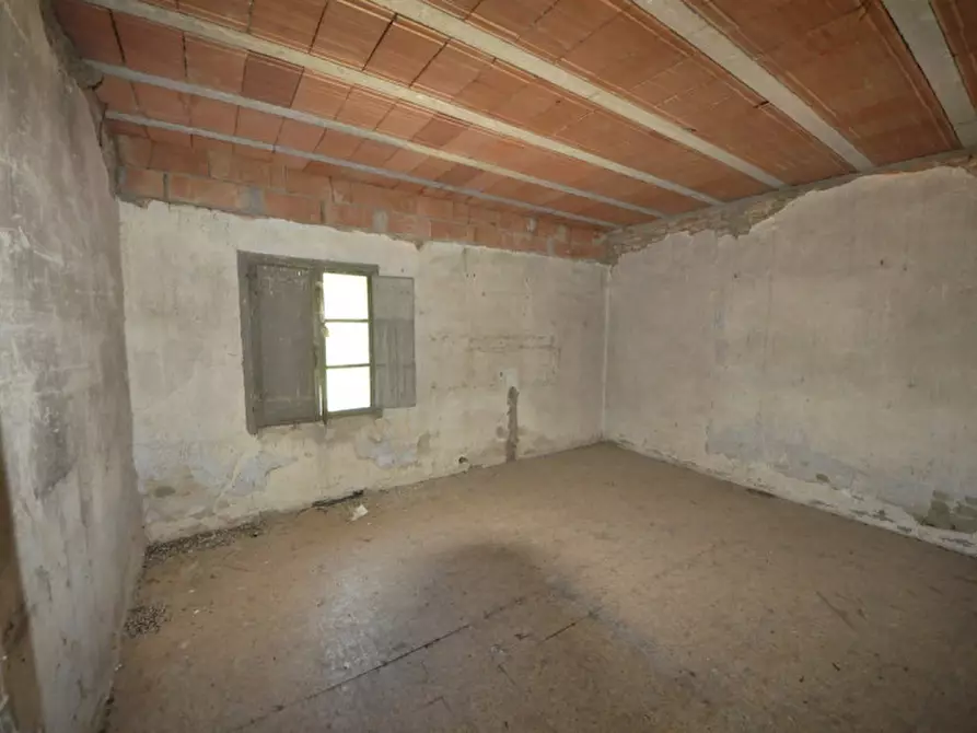 Immagine 5 di Rustico / casale in vendita  a Terranuova Bracciolini