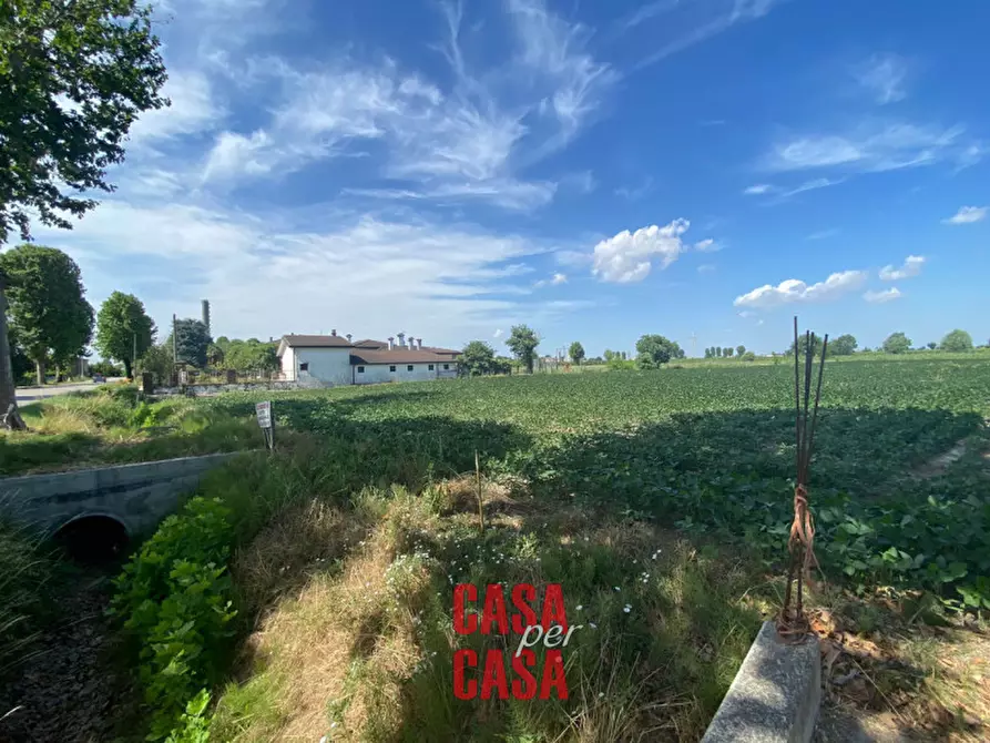 Immagine 2 di Terreno in vendita  a Ponso