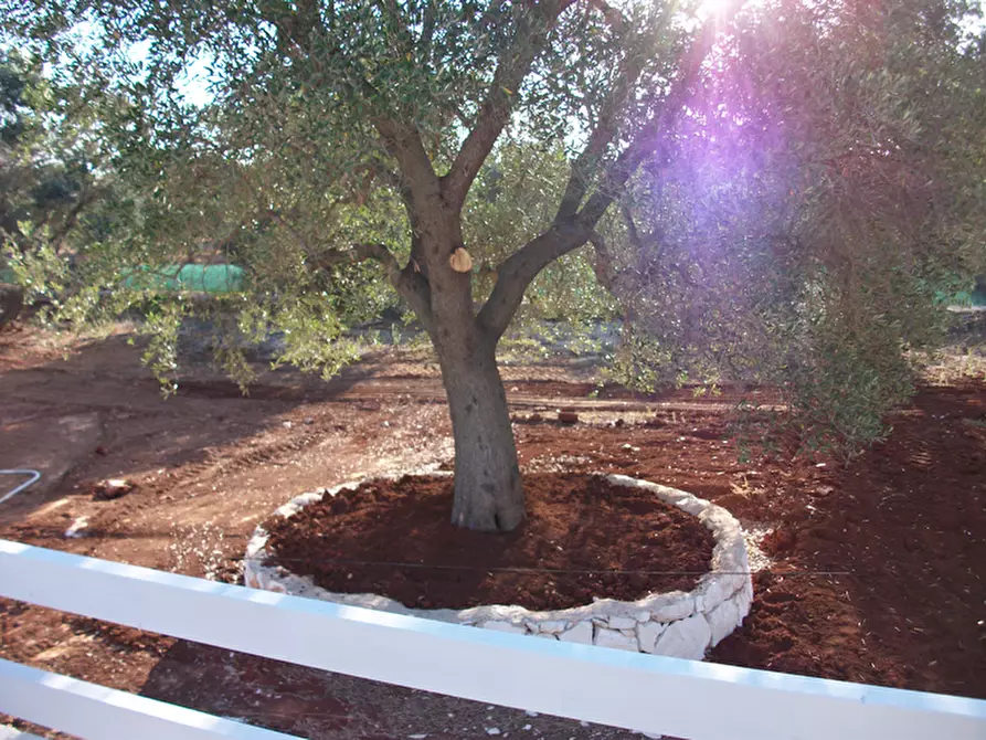 Immagine 41 di Villa in vendita  in C.da Vato Aperto a Ostuni