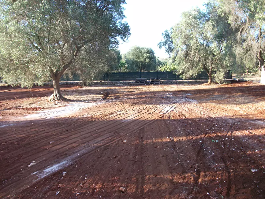 Immagine 42 di Villa in vendita  in C.da Vato Aperto a Ostuni