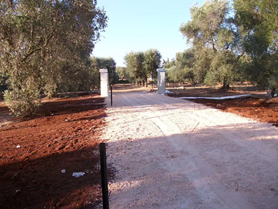 Immagine 50 di Villa in vendita  in C.da Vato Aperto a Ostuni