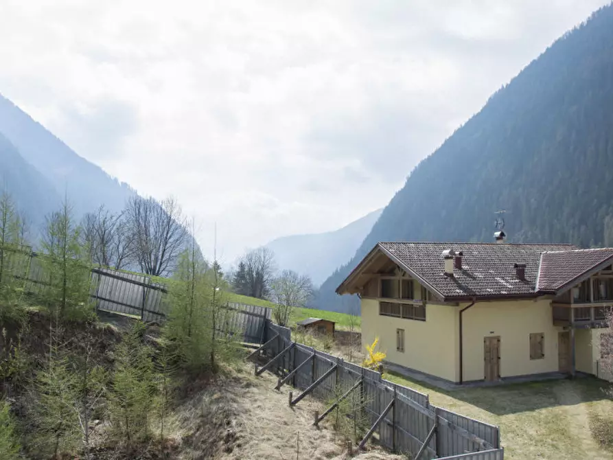 Immagine 12 di Appartamento in vendita  in S.Bernardo, n.48 a Rabbi