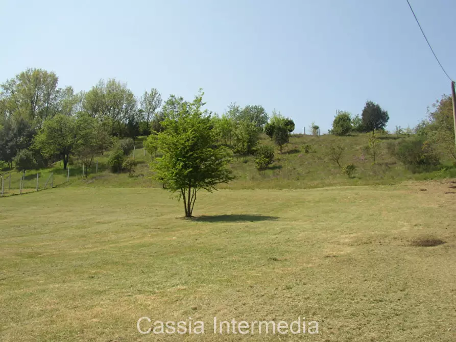 Immagine 11 di Terreno in vendita  in Via Nepesina a Nepi