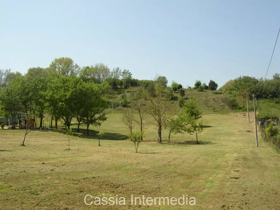 Immagine 12 di Terreno in vendita  in Via Nepesina a Nepi