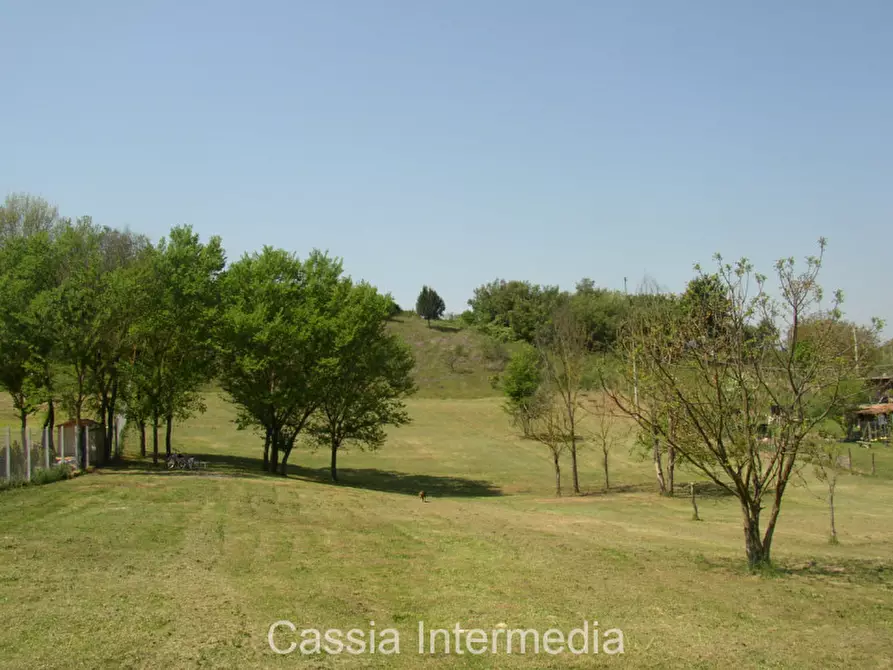 Immagine 14 di Terreno in vendita  in Via Nepesina a Nepi