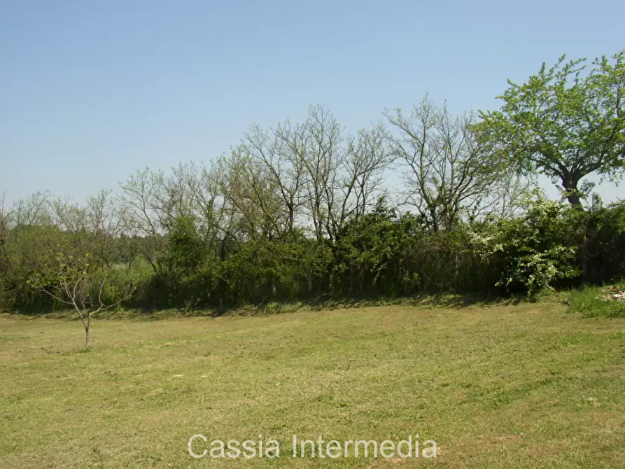 Immagine 16 di Terreno in vendita  in Via Nepesina a Nepi