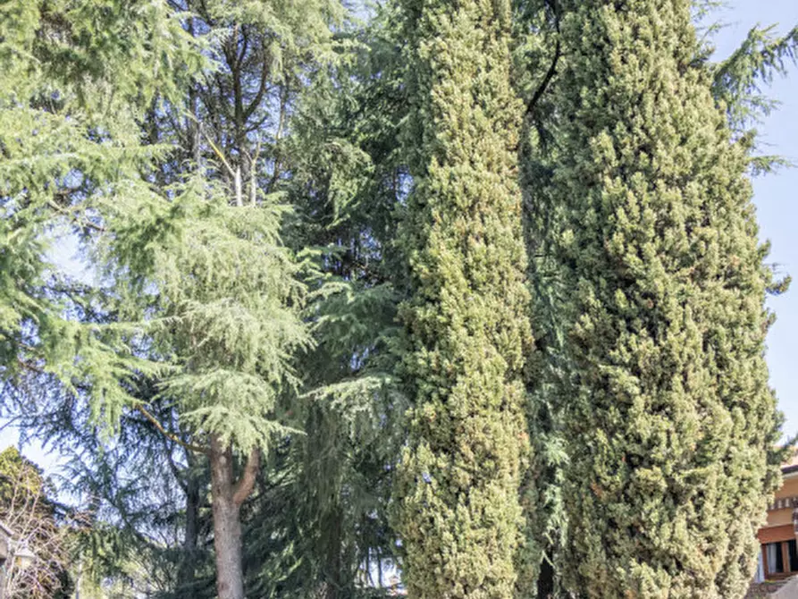 Immagine 65 di Casa bifamiliare in vendita  in VIA VISINONI a Venezia