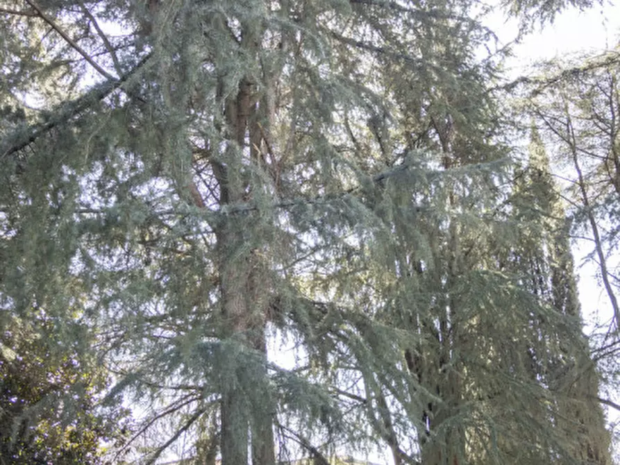 Immagine 68 di Casa bifamiliare in vendita  in VIA VISINONI a Venezia