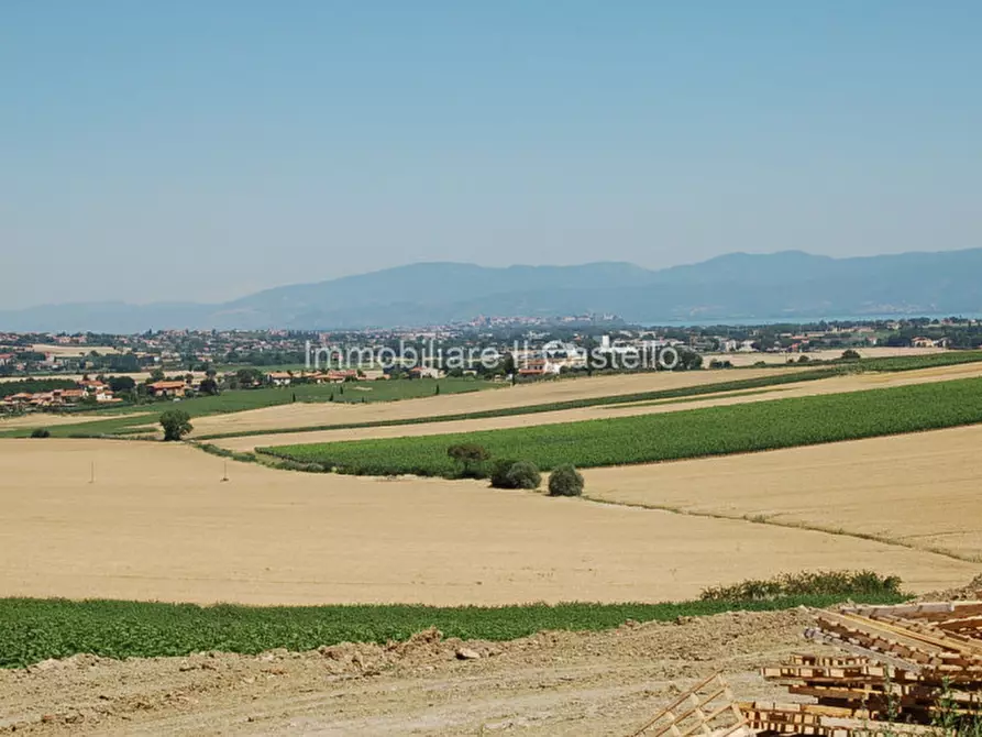 Immagine 1 di Terreno in vendita  a Paciano