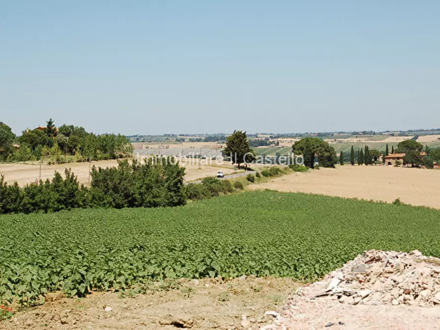 Immagine 2 di Terreno in vendita  a Paciano