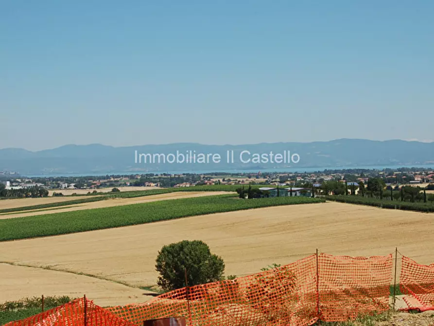 Immagine 3 di Terreno in vendita  a Paciano