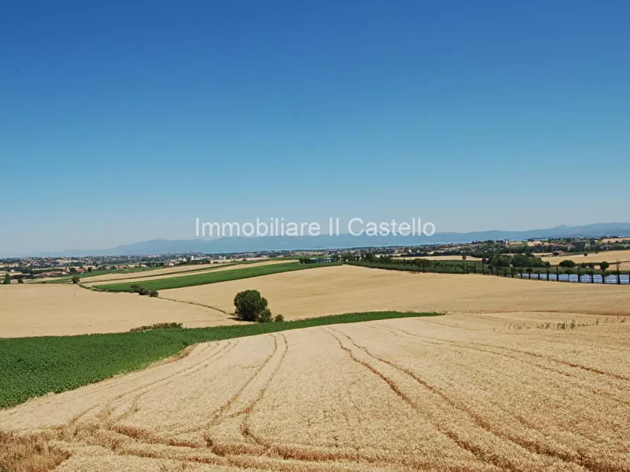 Immagine 5 di Terreno in vendita  a Paciano