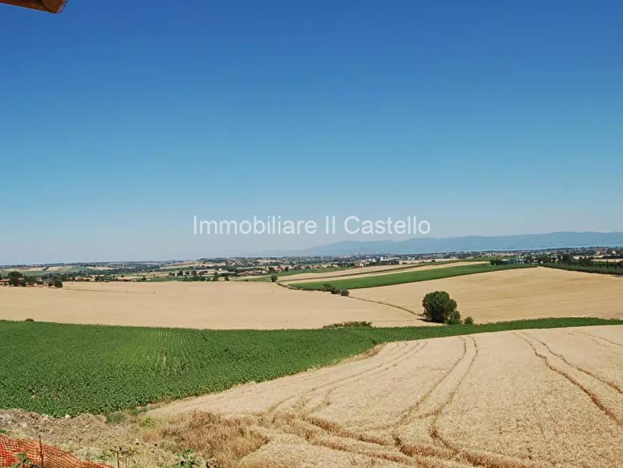 Immagine 6 di Terreno in vendita  a Paciano