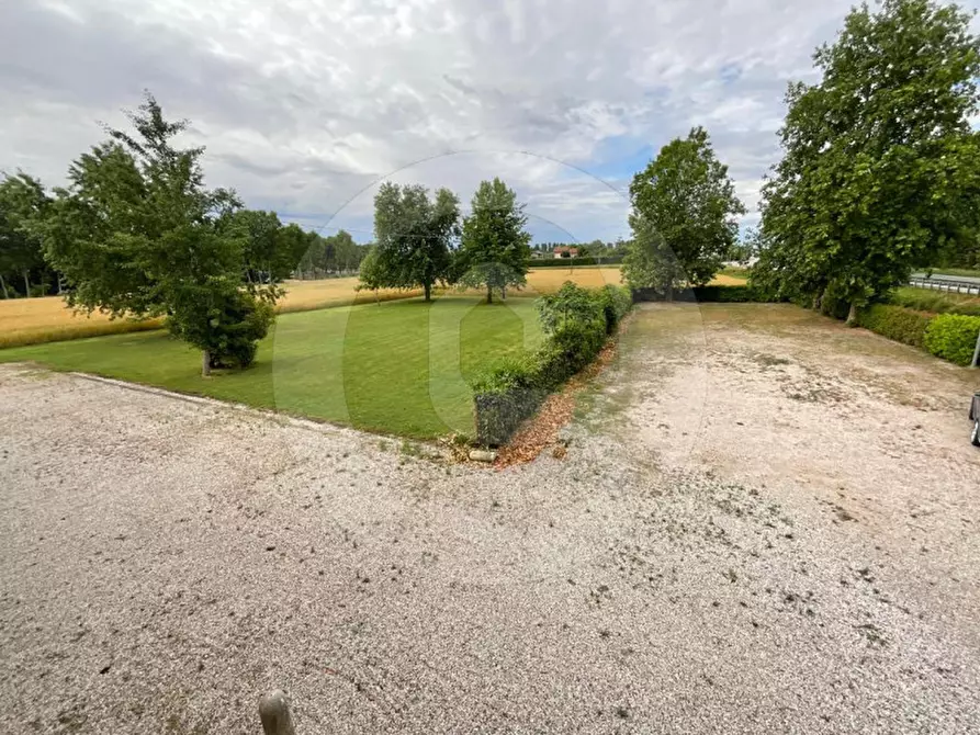 Immagine 4 di Rustico / casale in vendita  a San Giorgio Delle Pertiche