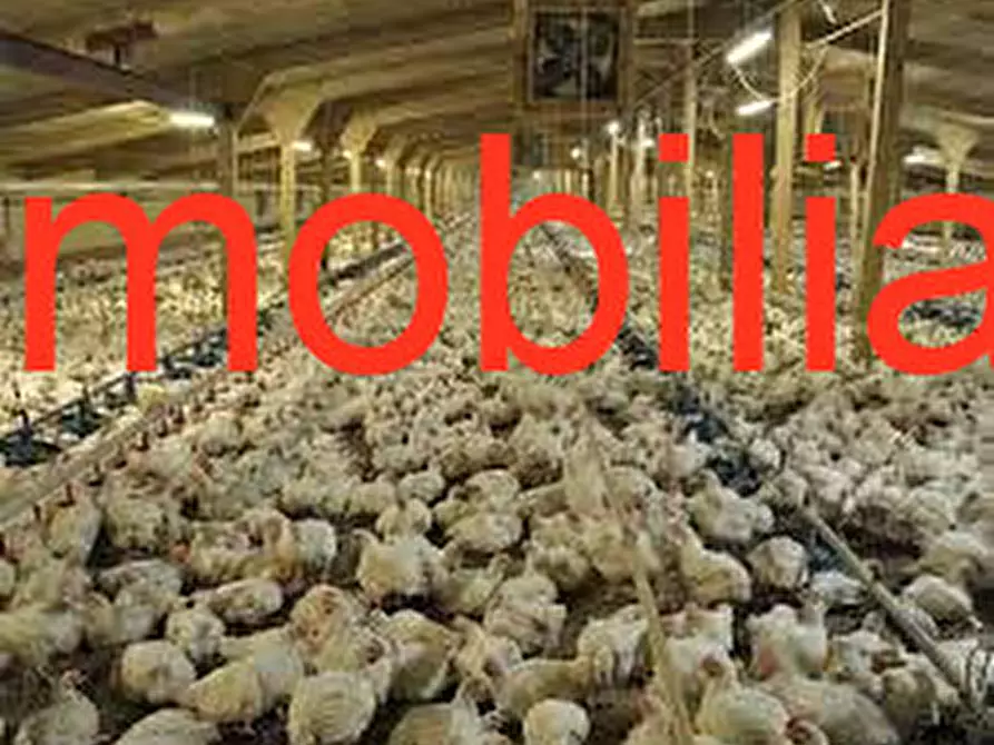 Immagine 2 di Terreno in vendita  in Via C. B Cavour n. 79 Este a Este