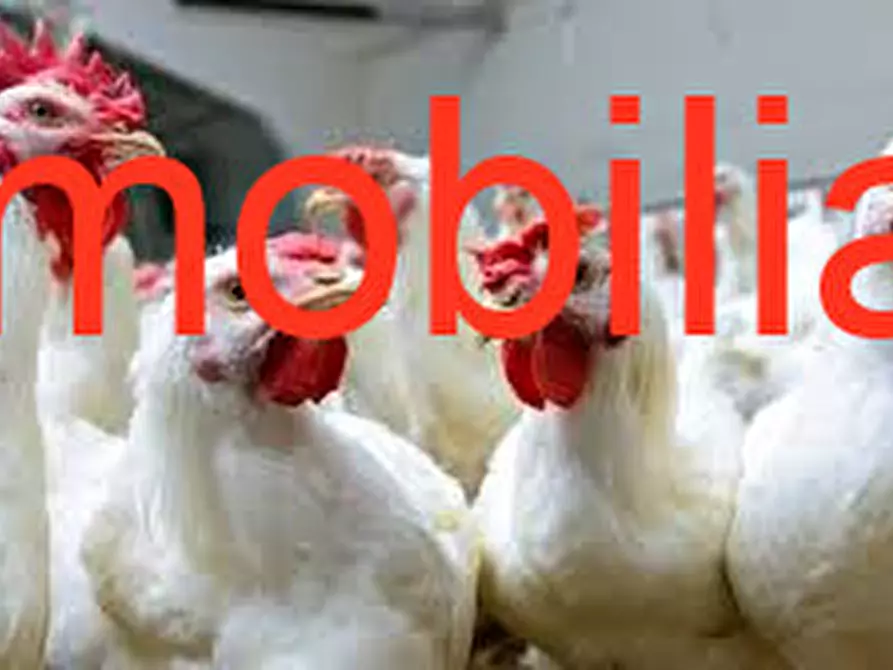 Immagine 3 di Terreno in vendita  in Via C. B Cavour n. 79 Este a Este