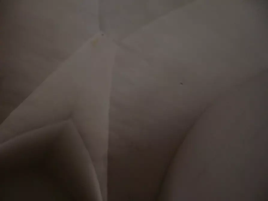 Immagine 7 di Villa in vendita  a Alezio