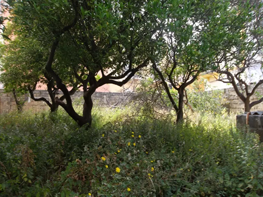 Immagine 20 di Villa in vendita  a Alezio