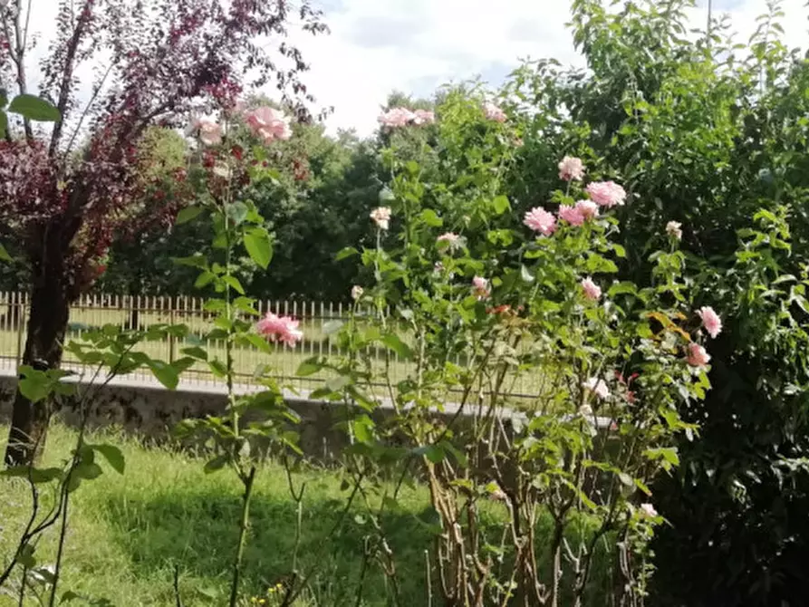 Immagine 5 di Appartamento in vendita  a Schio