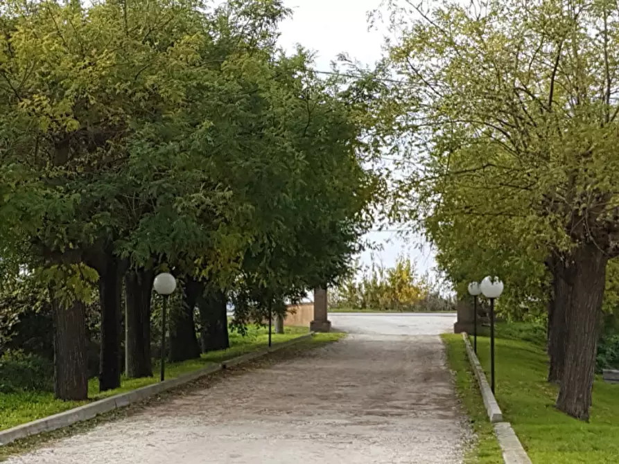 Immagine 4 di Appartamento in vendita  in STRADA PROVINCIALE 53 a Lagosanto