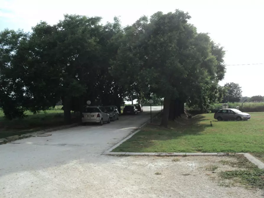 Immagine 13 di Appartamento in vendita  in STRADA PROVINCIALE 53 a Lagosanto