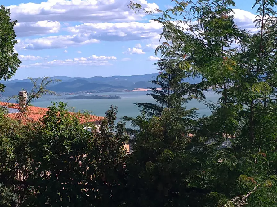 Immagine 11 di Rustico / casale in vendita  a Lisciano Niccone