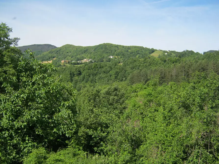 Immagine 22 di Rustico / casale in vendita  in Frazione Antara a Zeri