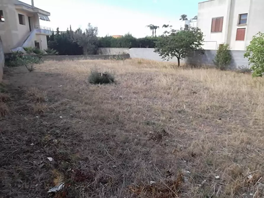Immagine 2 di Terreno in vendita  a Matino