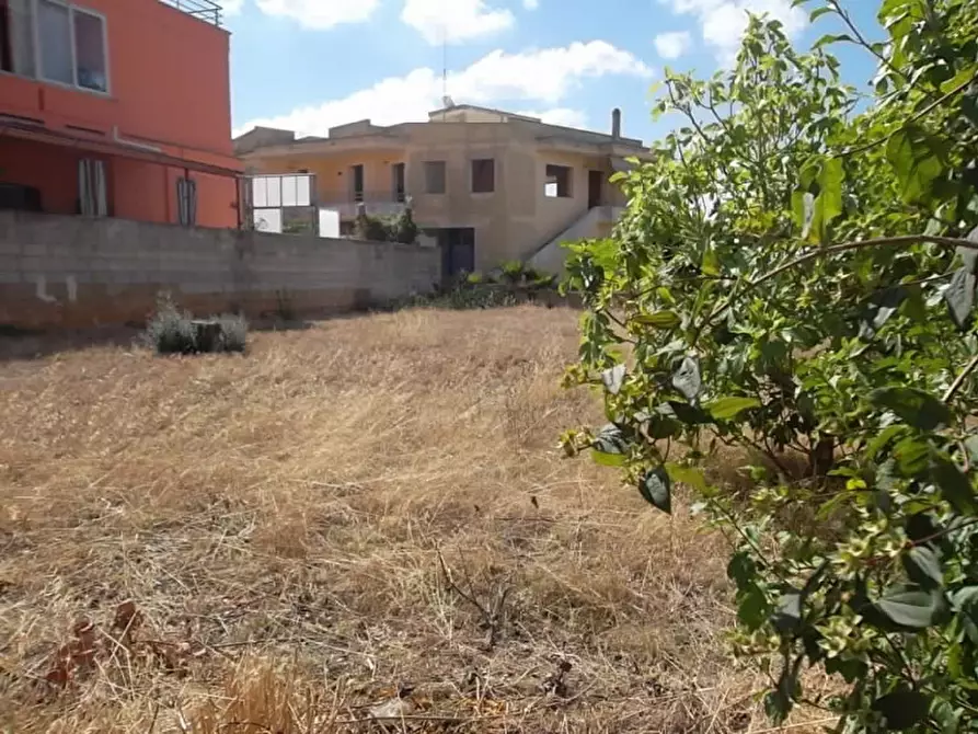 Immagine 6 di Terreno in vendita  a Matino