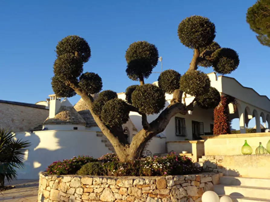 Immagine 38 di Rustico / casale in vendita  in Contrada Fedele Piccolo a Ceglie Messapico
