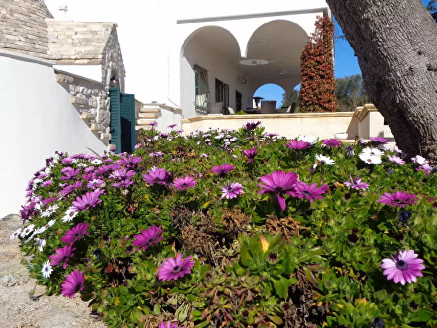 Immagine 45 di Rustico / casale in vendita  in Contrada Fedele Piccolo a Ceglie Messapico