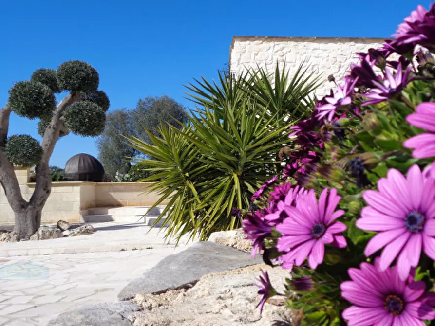 Immagine 47 di Rustico / casale in vendita  in Contrada Fedele Piccolo a Ceglie Messapico