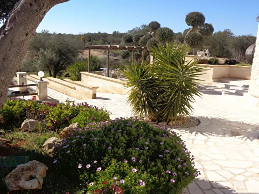 Immagine 51 di Rustico / casale in vendita  in Contrada Fedele Piccolo a Ceglie Messapico