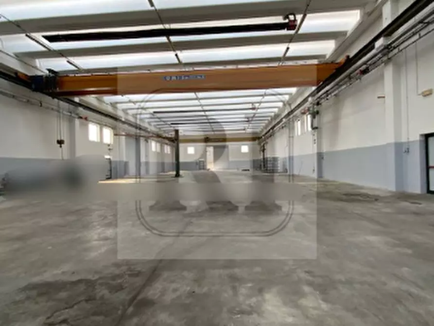 Immagine 3 di Capannone industriale in affitto  a Piazzola Sul Brenta