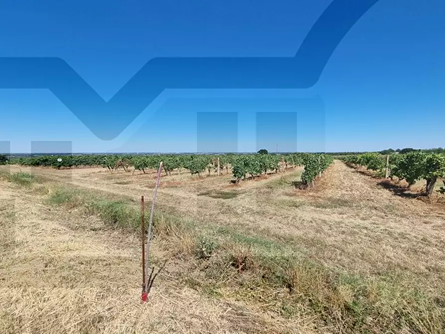 Immagine 8 di Terreno in vendita  in via casale a Faenza