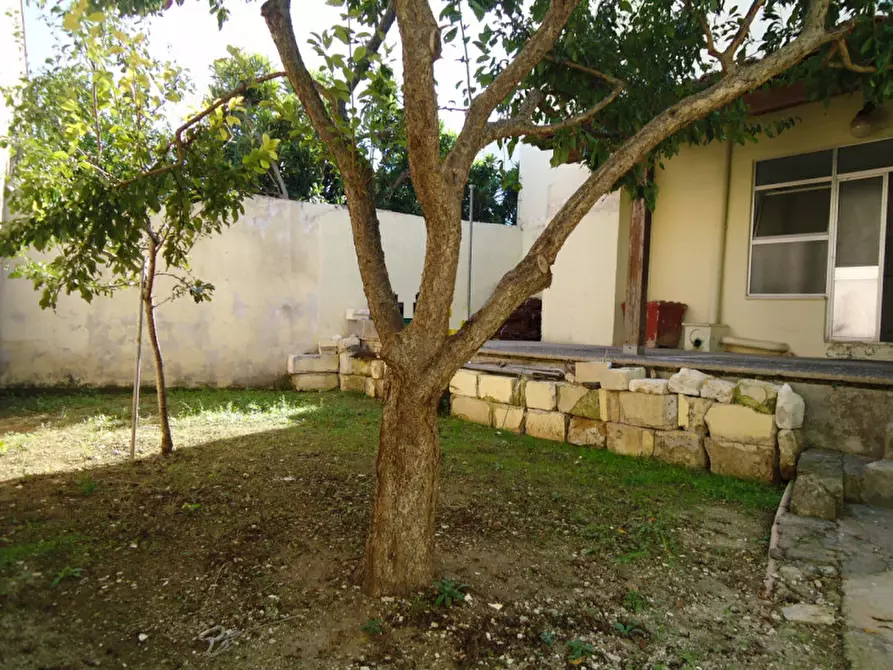 Immagine 3 di Casa indipendente in vendita  in Via Principe di Piemonte a Collepasso