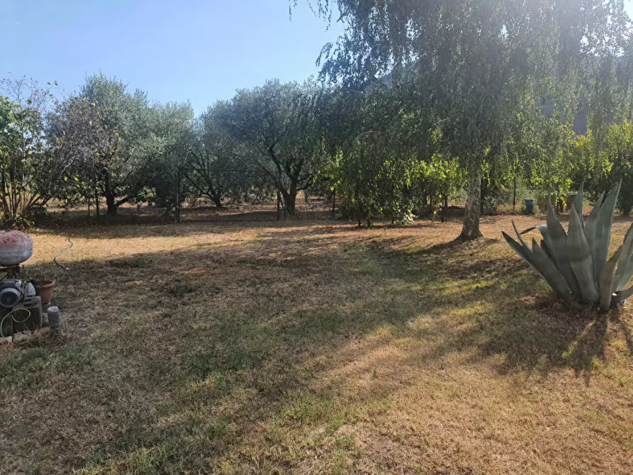 Immagine 2 di Casa indipendente in vendita  a Monselice