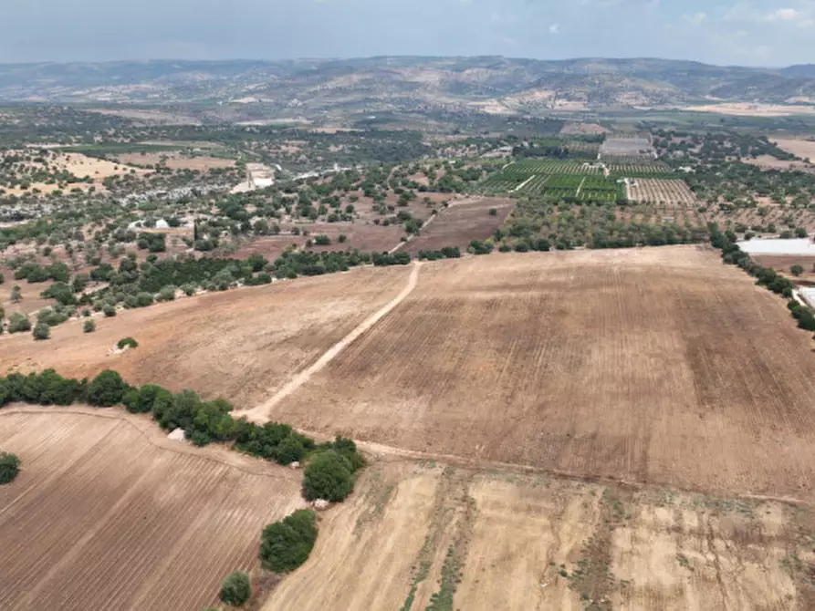 Immagine 3 di Terreno in vendita  in Strada Provinciale Favarotta Ritillini a Noto