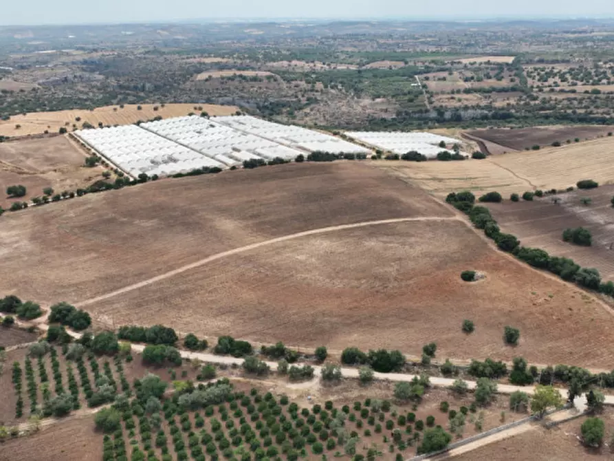 Immagine 4 di Terreno in vendita  in Strada Provinciale Favarotta Ritillini a Noto