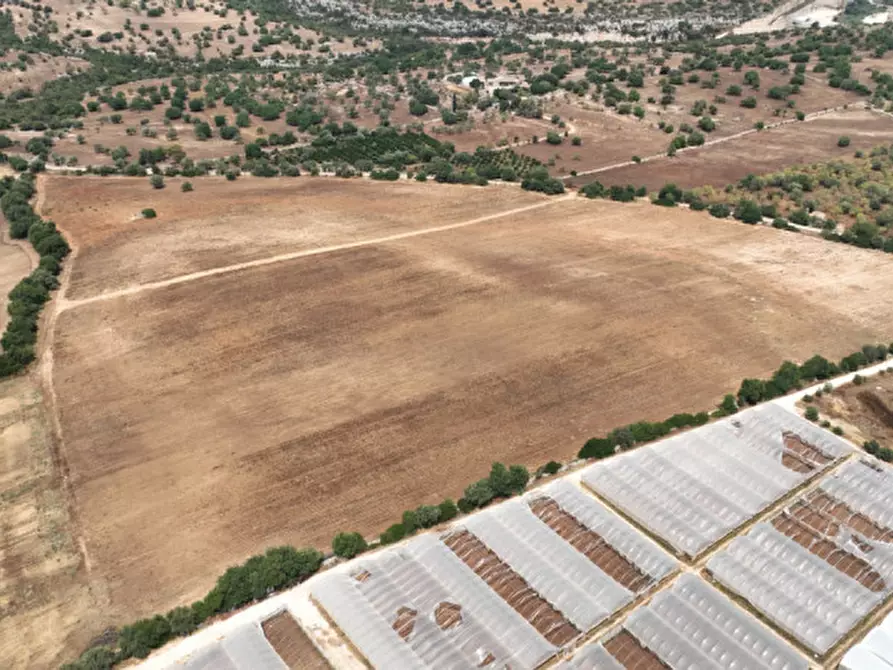 Immagine 5 di Terreno in vendita  in Strada Provinciale Favarotta Ritillini a Noto