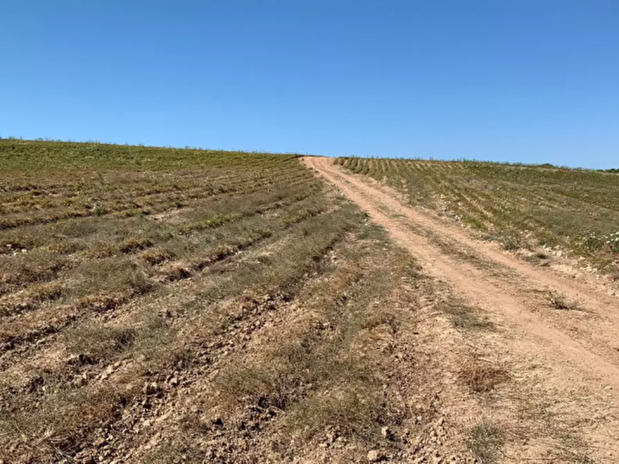 Immagine 10 di Terreno in vendita  in Strada Provinciale Favarotta Ritillini a Noto