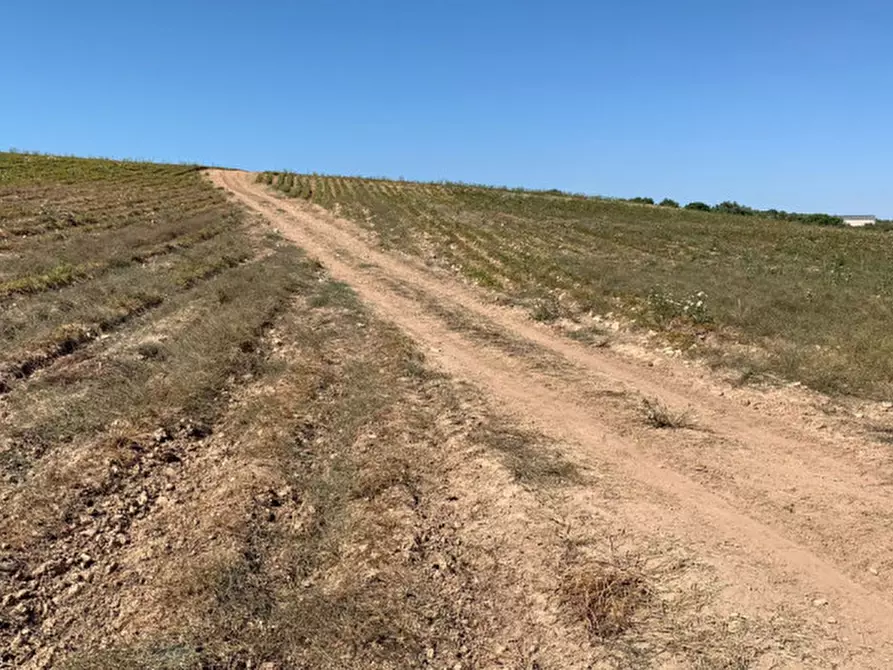 Immagine 15 di Terreno in vendita  in Strada Provinciale Favarotta Ritillini a Noto