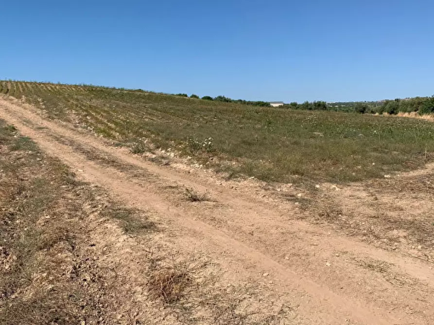 Immagine 16 di Terreno in vendita  in Strada Provinciale Favarotta Ritillini a Noto