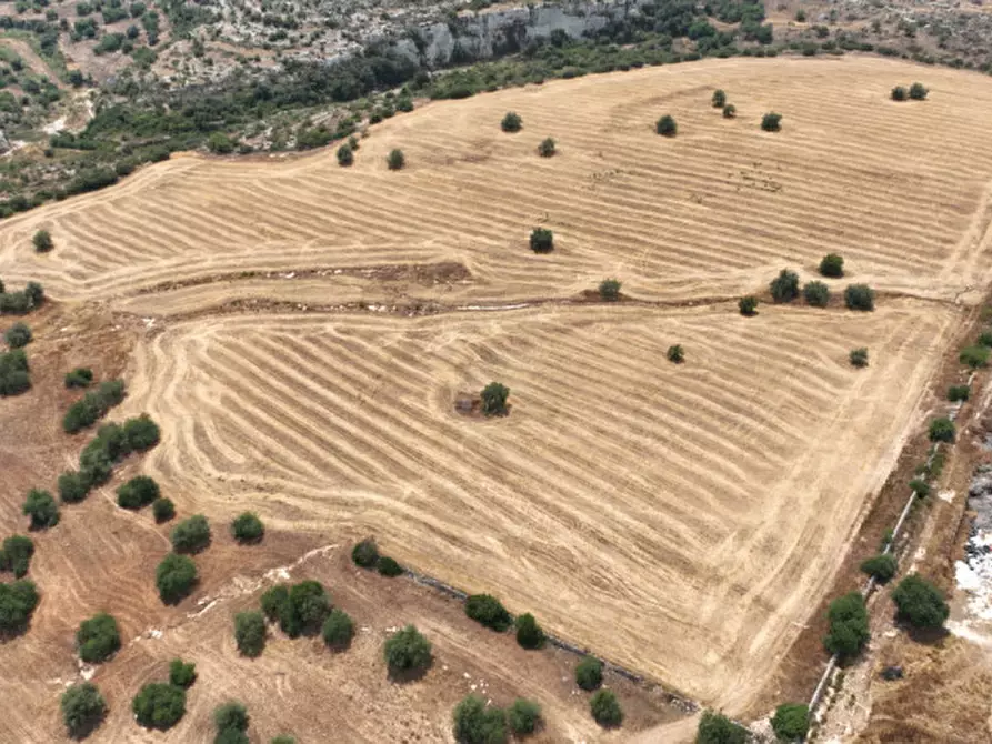 Immagine 3 di Terreno in vendita  in Strada Provinciale Favarotta Ritillini a Noto