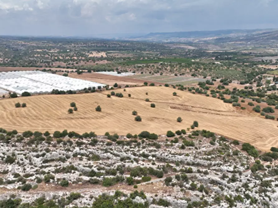 Immagine 4 di Terreno in vendita  in Strada Provinciale Favarotta Ritillini a Noto