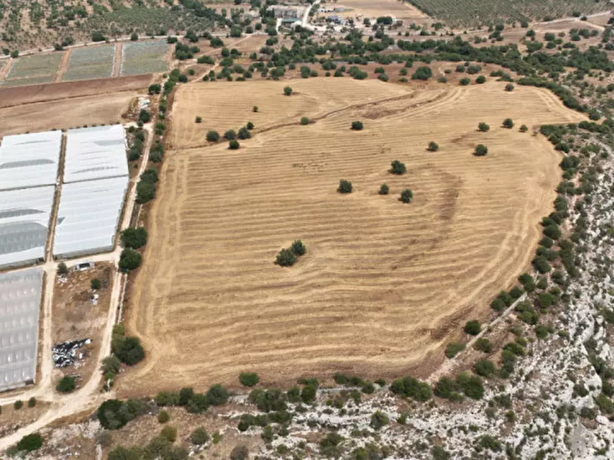 Immagine 5 di Terreno in vendita  in Strada Provinciale Favarotta Ritillini a Noto