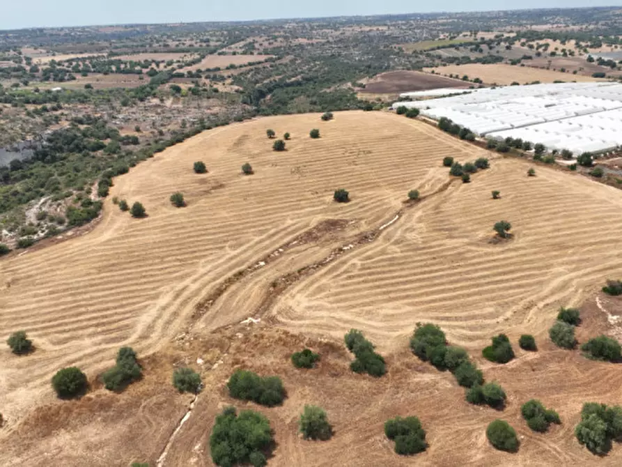 Immagine 6 di Terreno in vendita  in Strada Provinciale Favarotta Ritillini a Noto