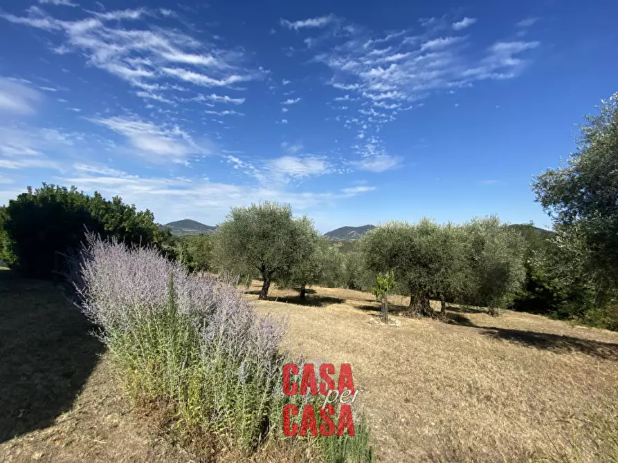 Immagine 2 di Rustico / casale in vendita  a Baone