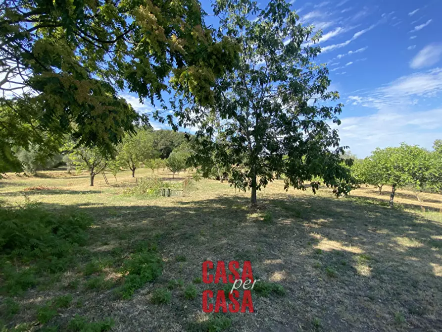 Immagine 23 di Rustico / casale in vendita  a Baone